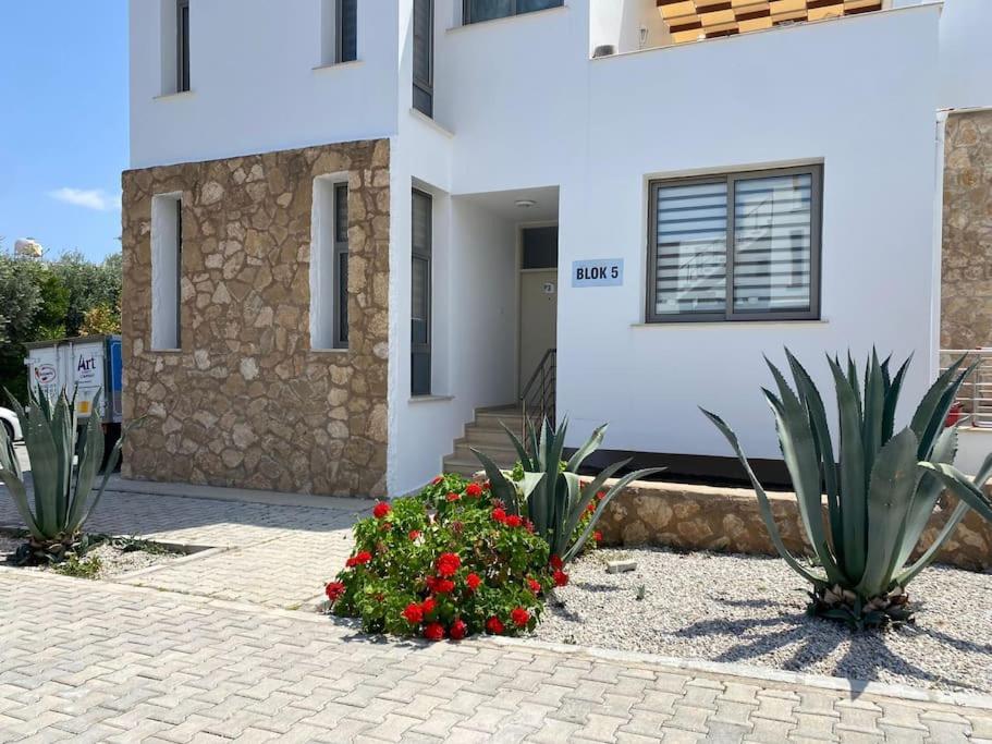 Girne/Zeytinlik 2+1 Muhtesem Terasli Daire Exterior photo